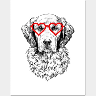 Golden Retriever Dog Wearing Heart Glasses Posters and Art